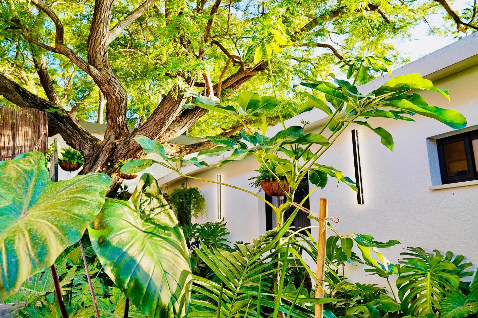 אדמת הארץ - Admat Haaretz Villa Hazon Екстериор снимка